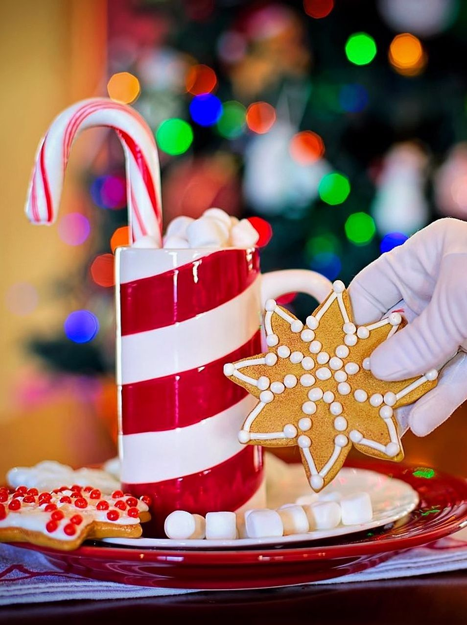 Sınırlı Baskı